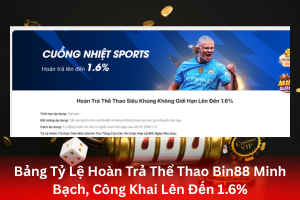 Bài viết về Tỷ Lệ Hoàn Trả Thể Thao Bin88