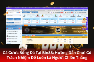 Bài viết về Cá Cược Bóng Đá Tại Bin88